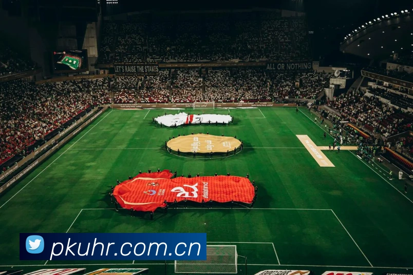 k1体育官方网站登录入口APP 封面图